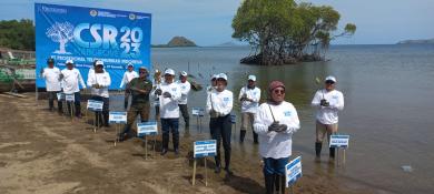 Gelar Acara CSR Mangrove di Pulau Rinca, Pemkab Mabar Berterima Kasih Kepada Protelindo